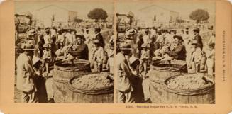 Sacking Sugar for N. Y. at Ponce, P. R.